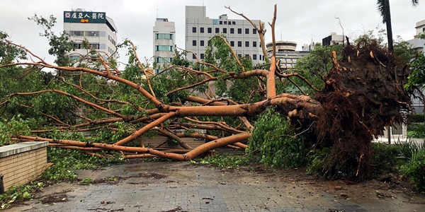 '기후 인플레이션'에 경제 불확실성 더 커진다, 원인과 피해규모 파악 어려워
