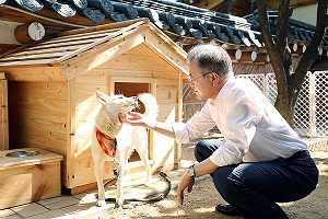 김정은 선물 풍산개 새끼 6마리 출산, 문재인 “남북관계도 이렇게”