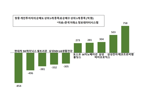 [증시 돋보기] 개인 순매도 사흘째, 현대차 팔고 에코프로비엠 담아