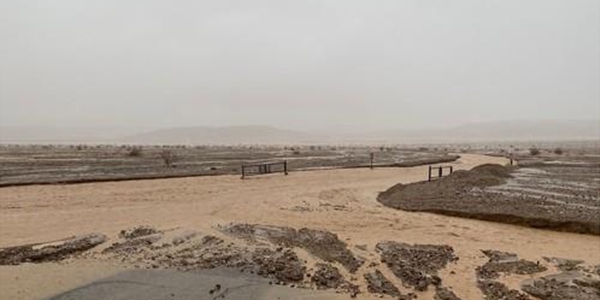 50℃ 넘는 사막 미국 데스밸리에 8월 폭우, “1000년에 한 번 발생할 일”