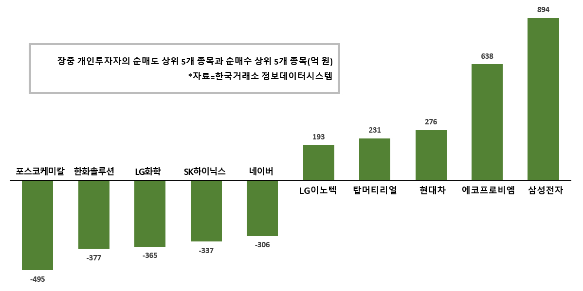 [증시 돋보기] 개인 삼성전자 에코프로비엠 담아, 포스코케미칼은 던져