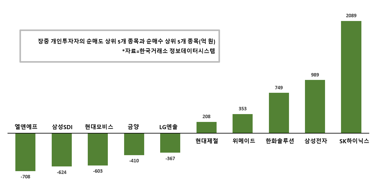 [증시 돋보기] 개인 시총 4위로 밀린 SK하이닉스 담아, 삼성SDI는 던져