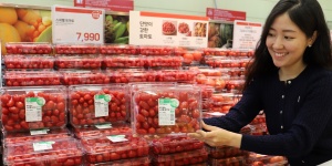 롯데마트 화학적 재활용 플라스틱 업계 첫 도입, 토마토 포장에 적용