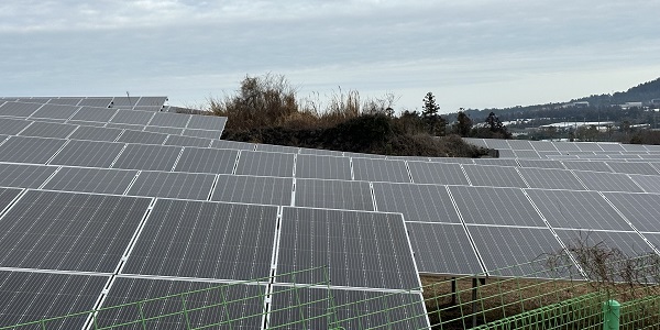한전, 태양광에너지 공급 위한 송배전설비 확충에 투자금액 2조 육박