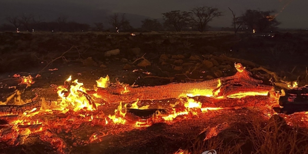지상낙원 하와이 잿더미 만든 화재 원인은? 기후변화로 일반화된 ‘돌발 가뭄’