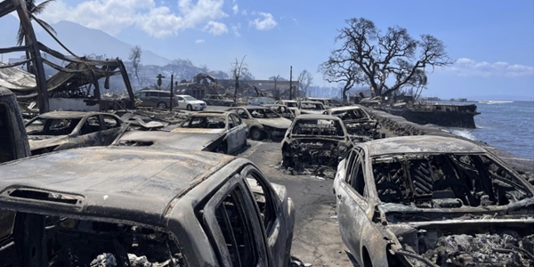 지상낙원 하와이 잿더미 만든 화재 원인은? 기후변화로 일반화된 ‘돌발 가뭄’