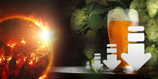 기후변화가 맥주 맛도 바꾼다, 발효 핵심재료 '홉' 품질 떨어지고 생산 줄어
