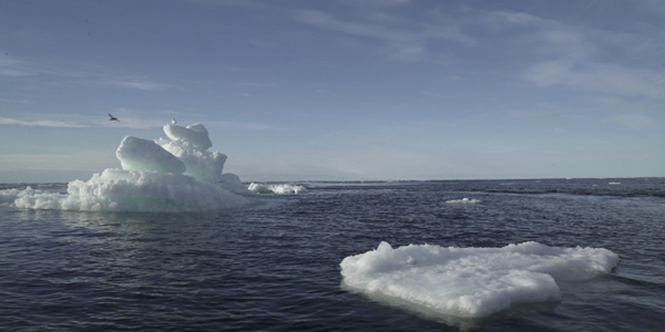 북그린란드 빙붕 1978년 이후 35% 감소, 다 녹으면 해수면 2.1m 상승