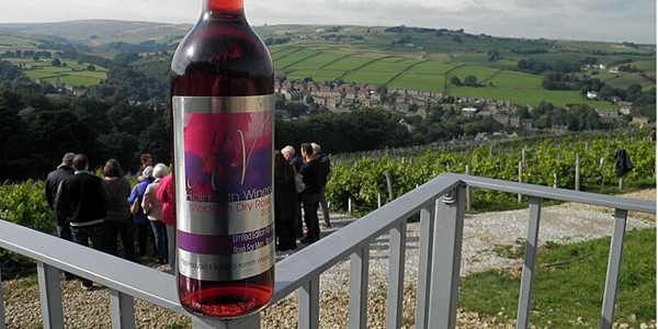 와인산업 영국 뜨고 스페인 이탈리아 지고, 기후변화에 와인 종주국 지형 변화