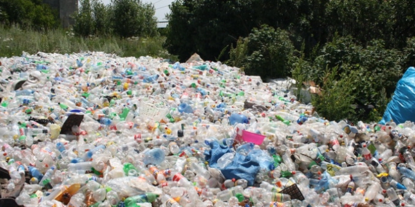 [인터뷰] 에코네트워크 임송택 "플라스틱 소재 낮은 가격이 폐기물 문제 키우는 원인" 