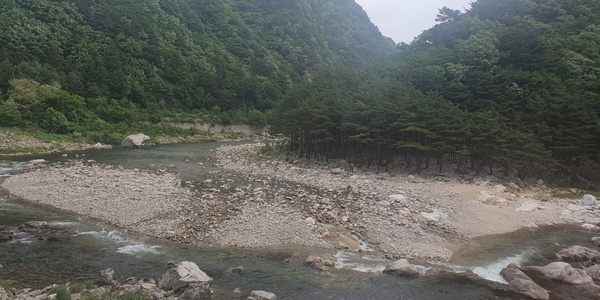 [체험기] 옥스팜 트레일워커 2024, '마음부자'들의 응원에 100km 꿀맛 완주 