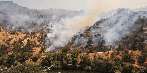 미국 캘리포니아 폭염으로 산불 발생 위험성 커져, '전력공급 중단'도 검토