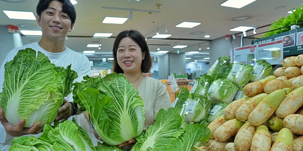 롯데마트 '강원 안반데기 햇배추' 4천 원대에 판매, "시세 대비 절반 수준"