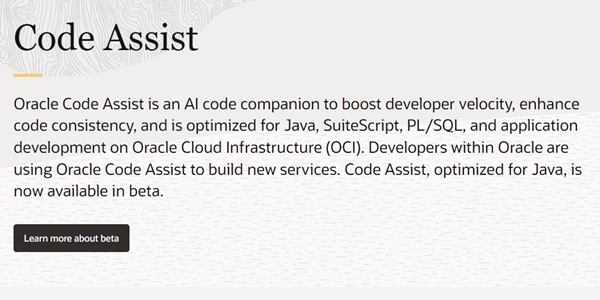 오라클, 앱 개발 속도 높이는 AI 코딩 프로그램 '오라클 코드 어시스트 베타 버전' 발표