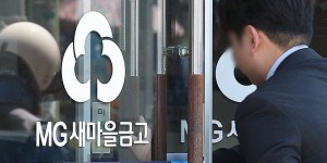 새마을금고 경영지표 개선 견인차는, 힘 실리는 행안부 금융당국 합동 감독체계