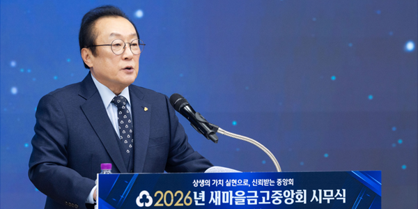 새마을금고 '현미경 감독' 나서는 금감원, 김인 리스크관리 역량 시험대