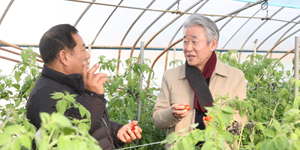 금융지주가 밀고 경제지주가 끌고, 강호동 '돈 버는 농업' 스마트팜 직접 뛴다