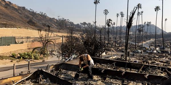 로스앤젤레스 화재 악영향 생각보다 커, 각종 유해 화학물질 현장서 검출
