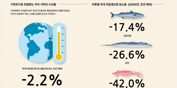 기후변화가  한국인의 밥상 물가  높인다   해수온 상승에 어획량 급감 