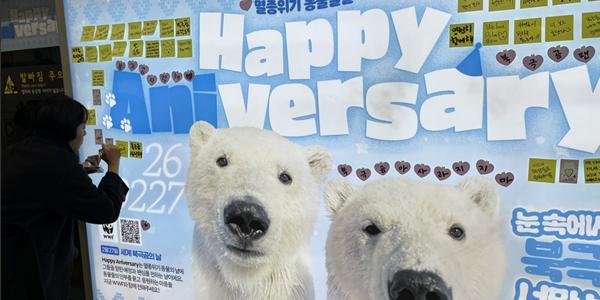 세계자연기금 멸종위기동물 보호 캠페인, 북극곰 기후변화 피해 널리 알린다