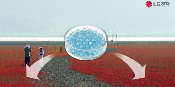 LG전자, 해양 생물 생장 돕는 신소재 '마린 글라스' 실증 본격화