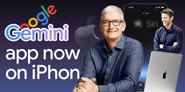 팀 쿡 애플 'AI 실패' 인정하고 물러날까, 세대교체 목소리 힘 실려