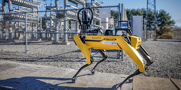 현대차 보스턴다이나믹스 '로봇 개' 미국 공항에 투입, 폭발물과 마약 탐지