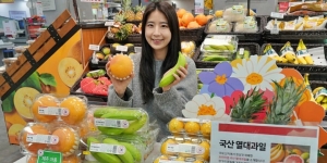 롯데마트 국내 재배 열대·아열대 과일 판매, 신안 바나나·제주 레몬 5990원