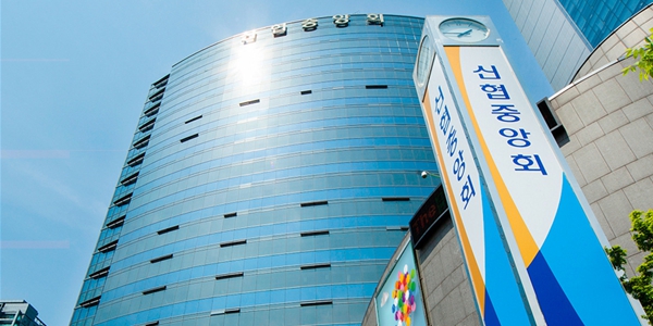 신협중앙회 10월 자산관리회사 출범, 고영철 경영 정상화 향한 건전성 개선 고삐