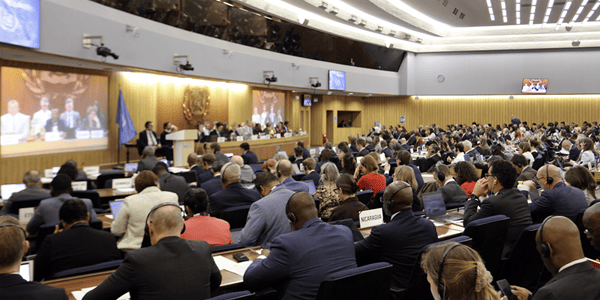 국제해사기구 탄소세 '트럼프 몽니'에 무산 가능성, 2050년 해운 탈탄소 목표 흔들려