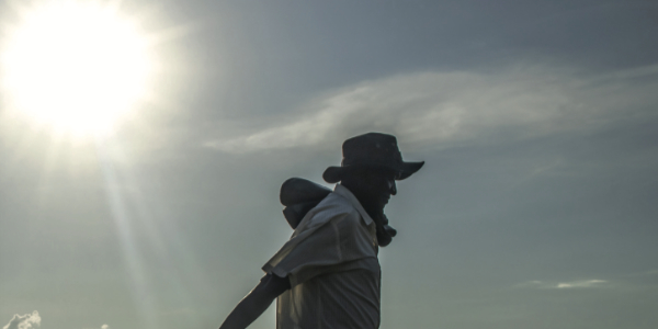 극한 폭염에 세계 식량 생산량 감소 현실로, 대책 강화 '골든타임' 온다