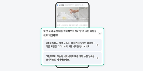 네이버·카카오 하반기 'AI 수익화' 경쟁, 수익성 두고 시장 의구심은 여전