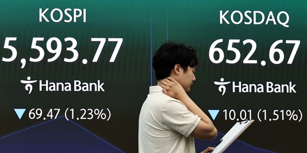 삼성전자와 SK하이닉스 주가 하락은 