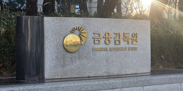 금감원 